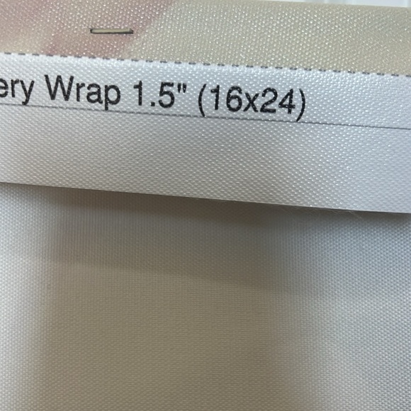 16” x 24” x 3 Pointe Shoe Canvas Set - Picture 6 of 7